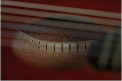 Contre &eacute;clisses Guitarrita Eagletone.jpg